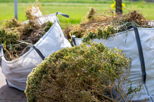 Best Shed Removal  in Richmond Hill, GA